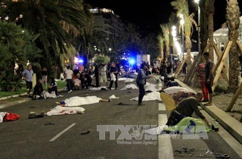 Vietnam strongly denounces the terrorist attack in Nice - ảnh 1